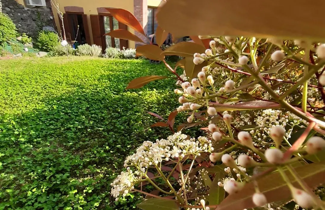 Casa Lavanda-1