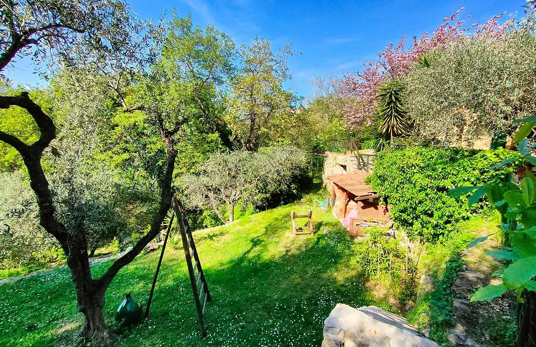L'Uliveto D'Argento-1
