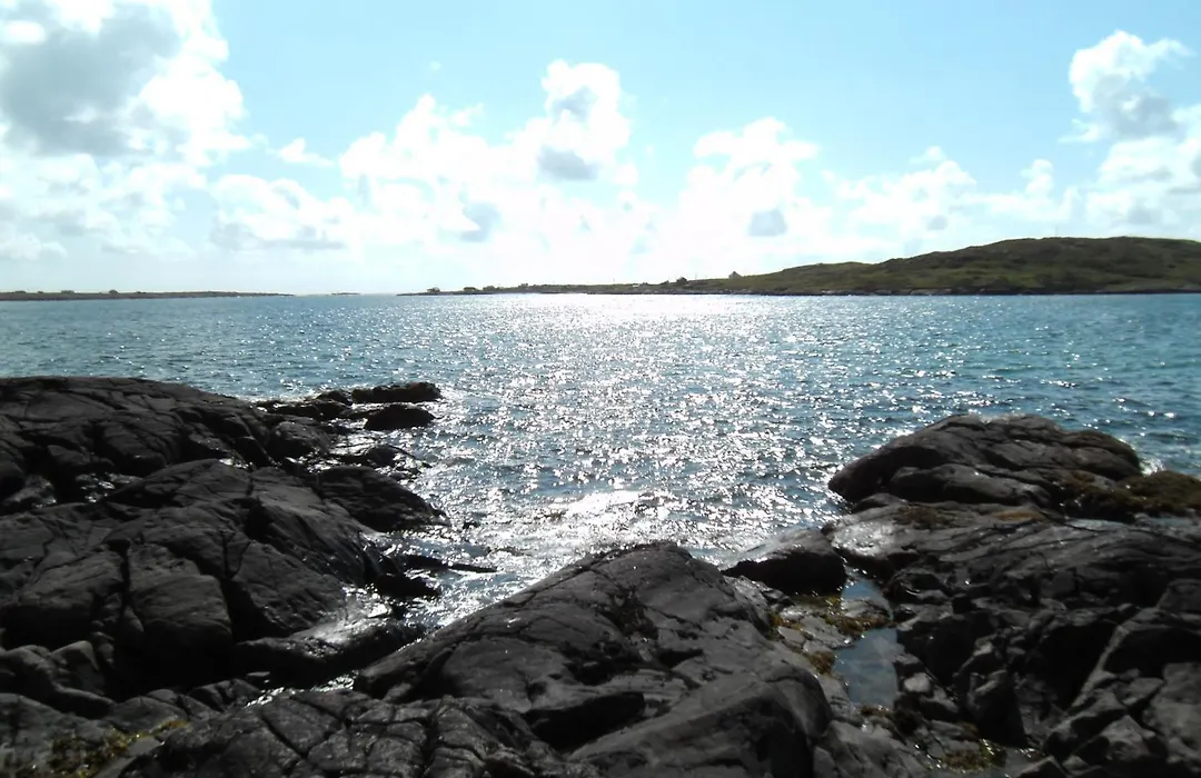 Seafield House B&B-1