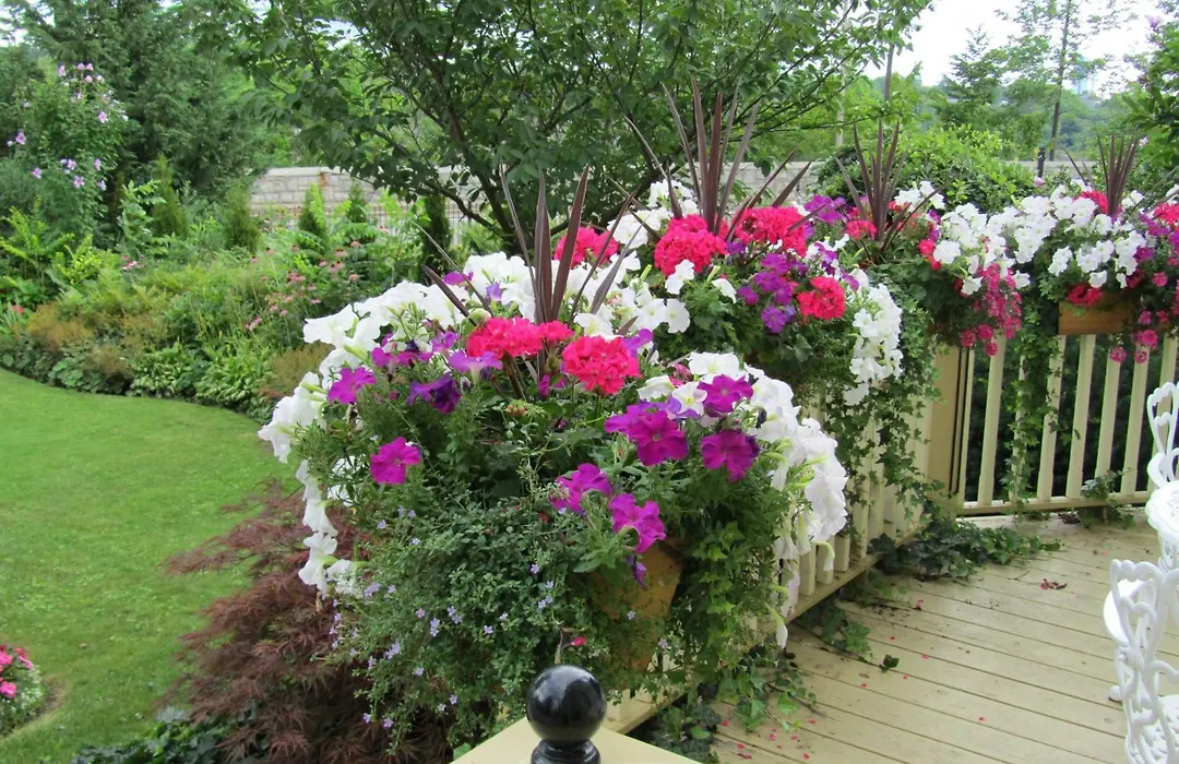 Bedham Hall B&B-1