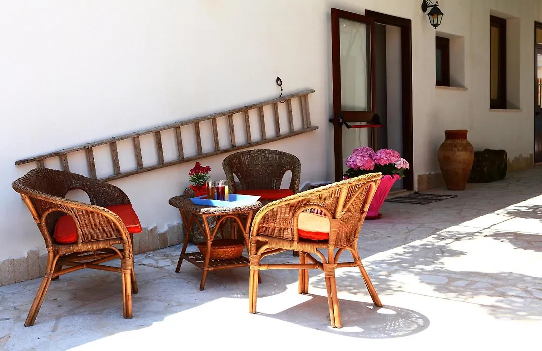 B&B Sabir-1