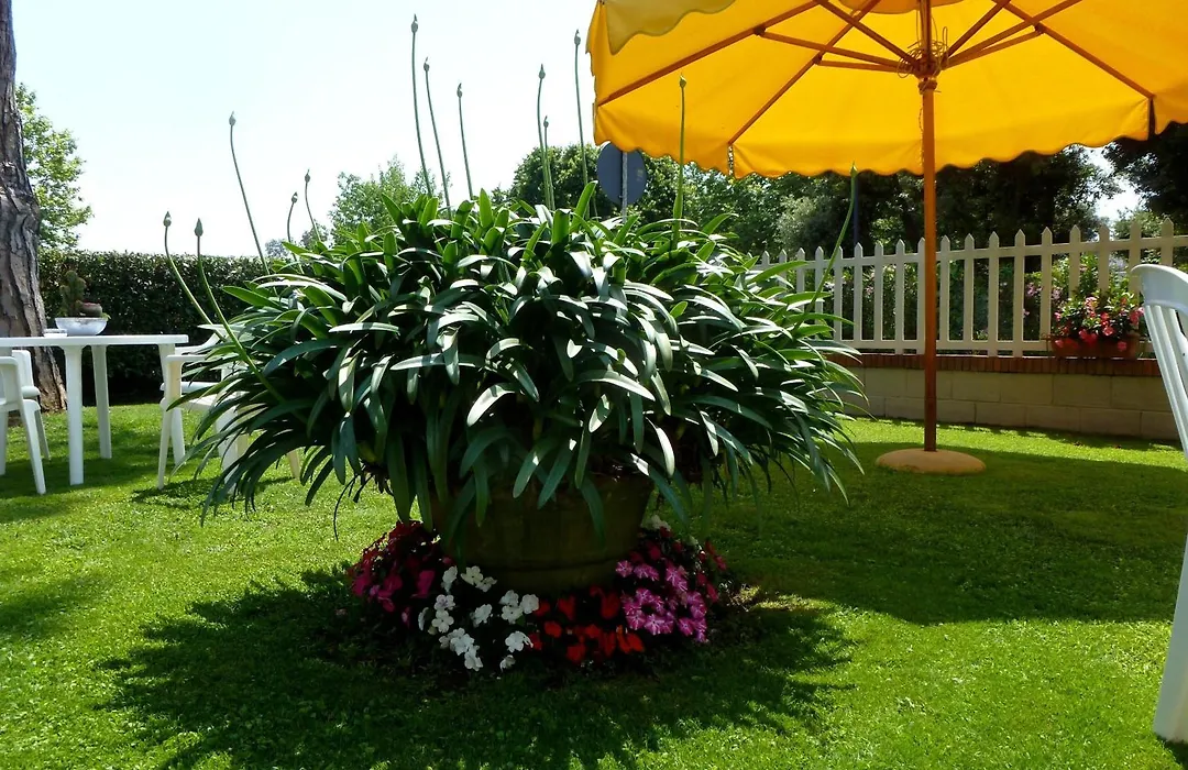 Hotel Versilia-1