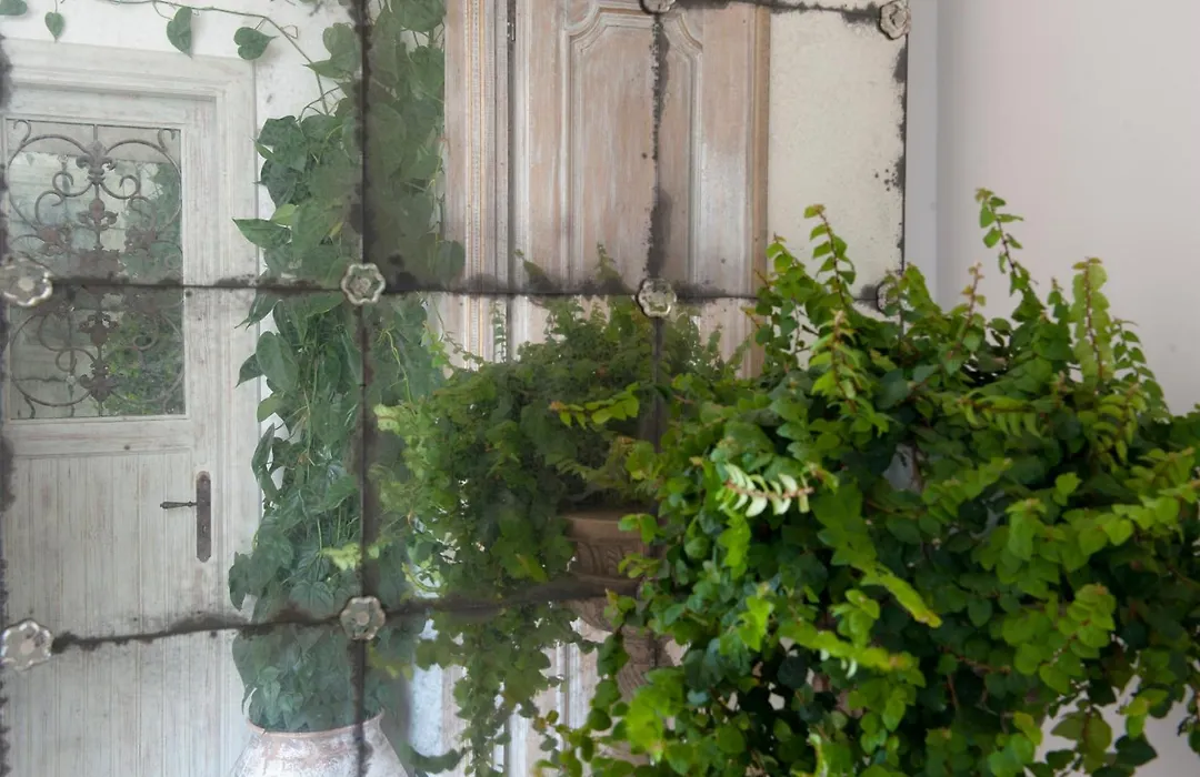 Casa Buonocore-1