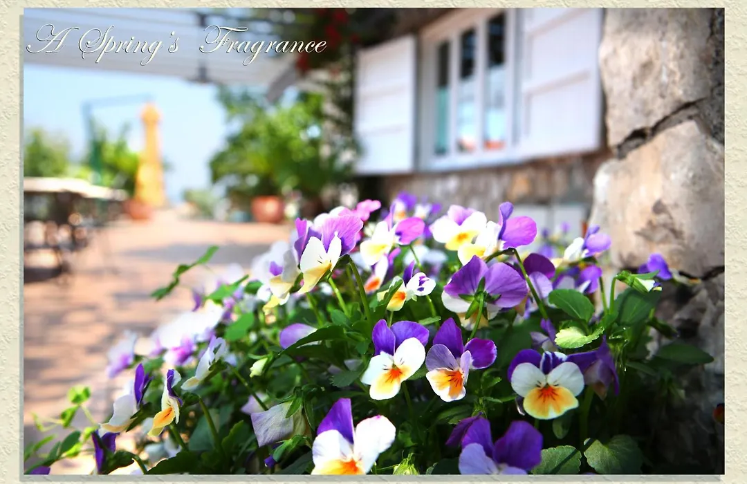 Villa Ketty Resort-1
