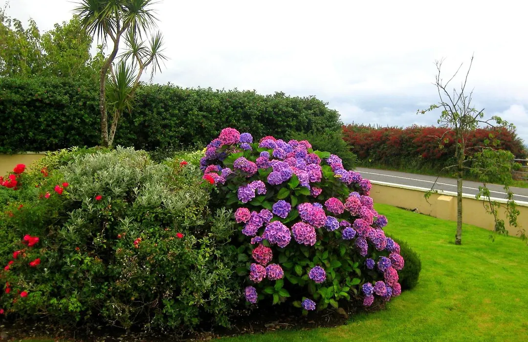 Cill Bhreac House B&B-1