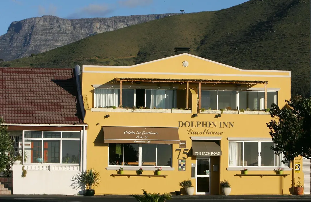 Dolphin Inn Guesthouse-1