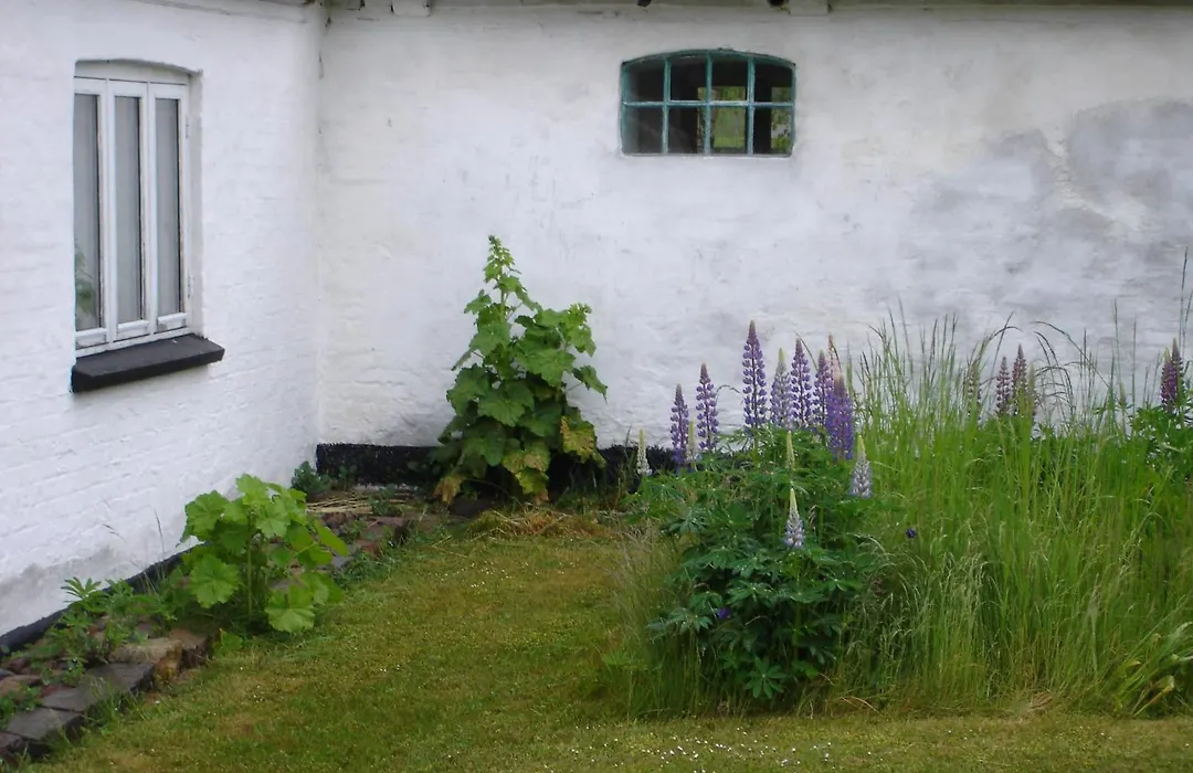 Moen Oekologisk Bed & Breakfast-1