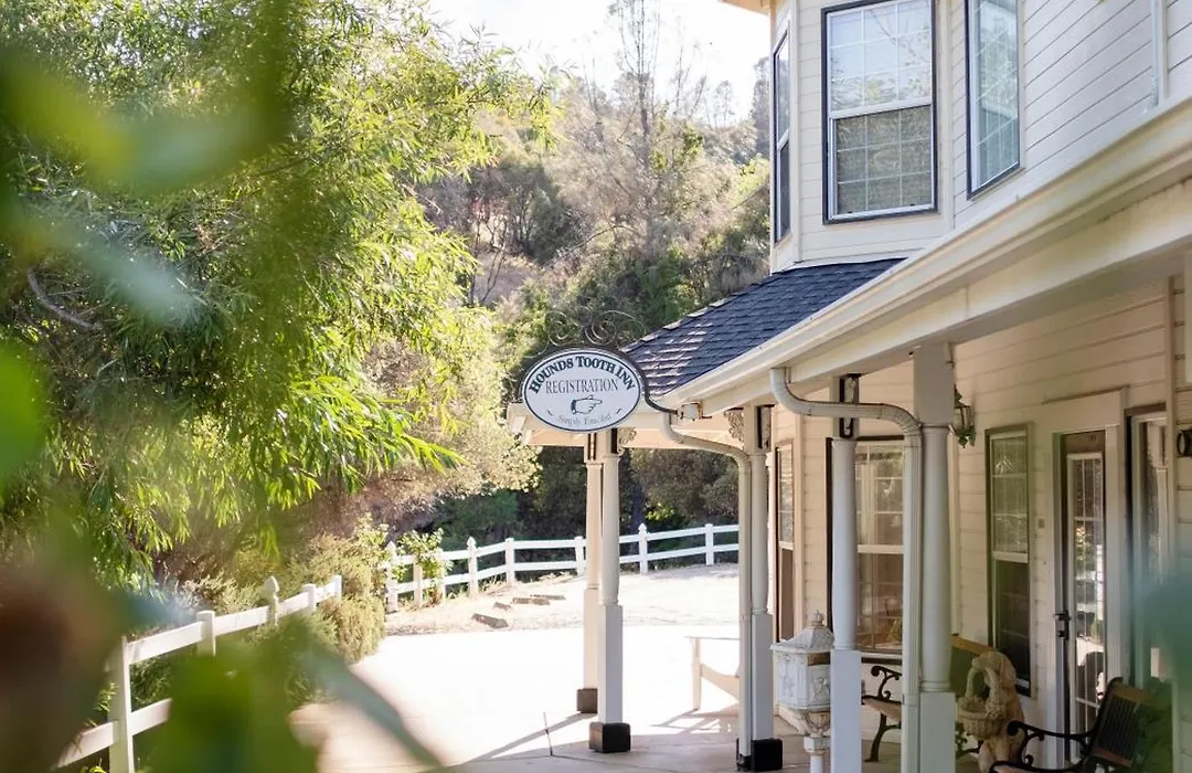 Hounds Tooth Inn-1