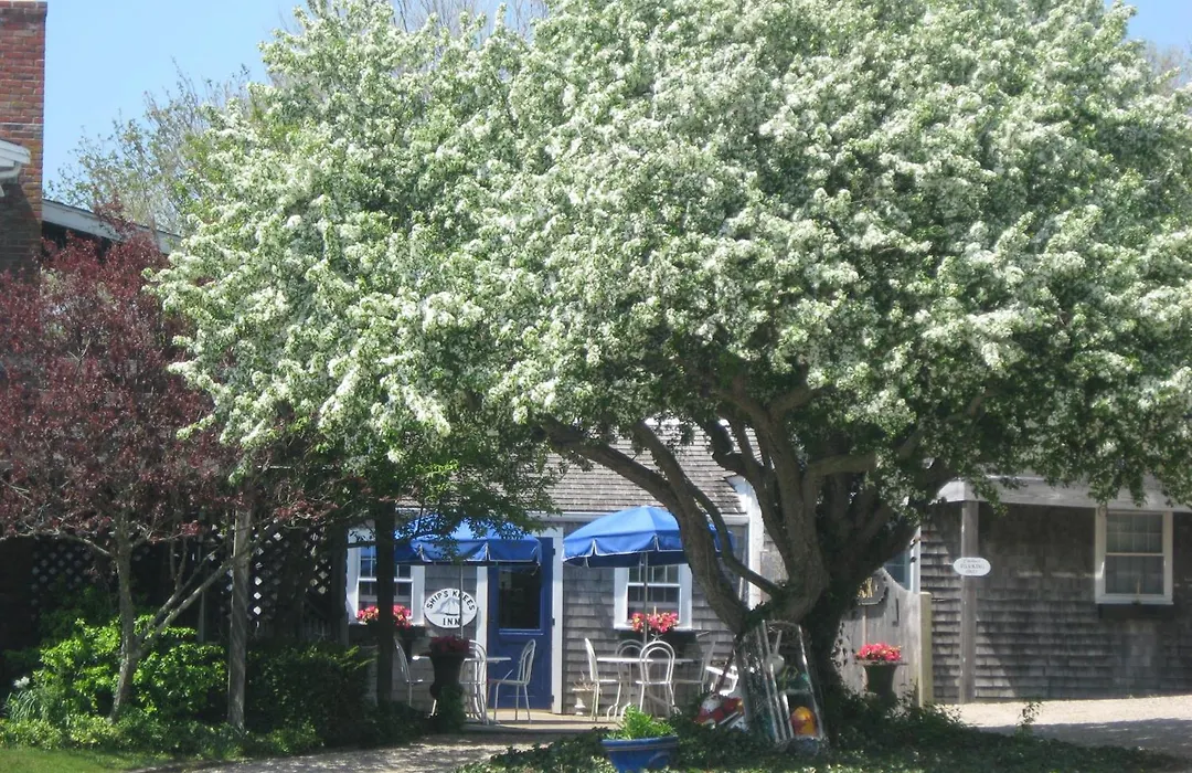 Ship'S Knees Inn-1