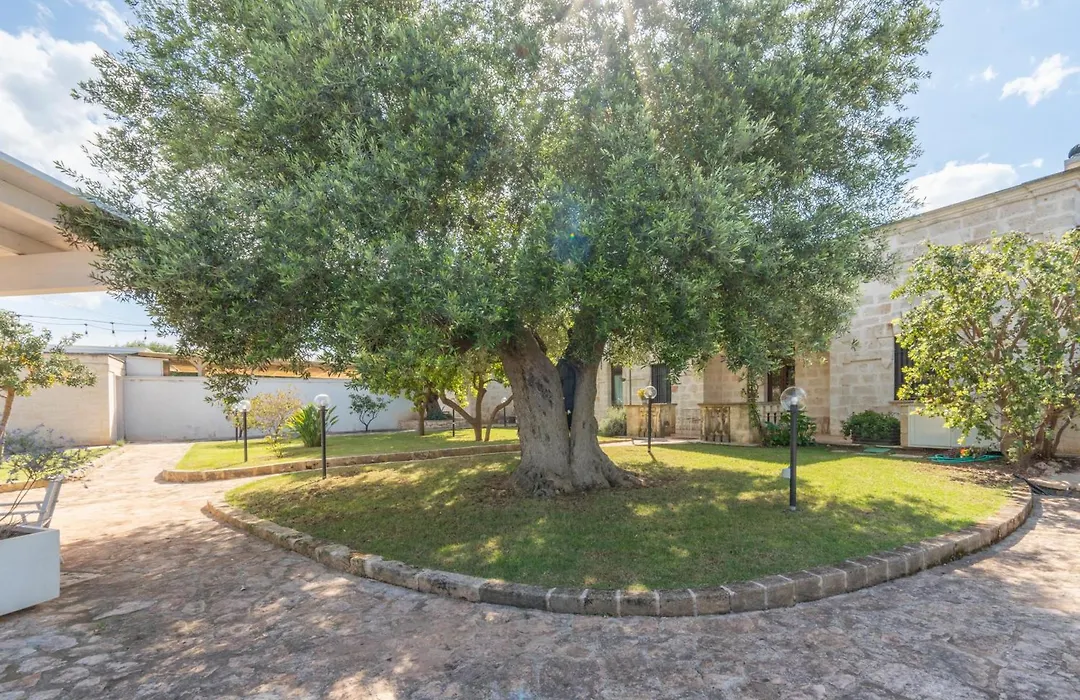 Dimora Tauro B&B-1