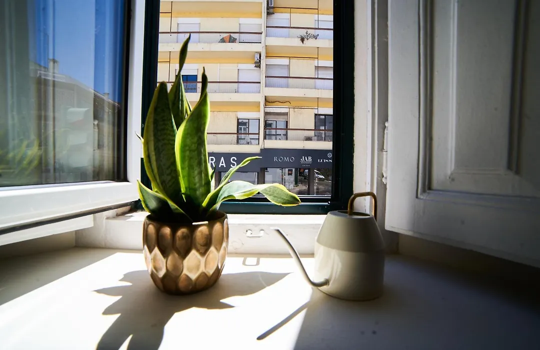 Baron Faro - Guest House-1