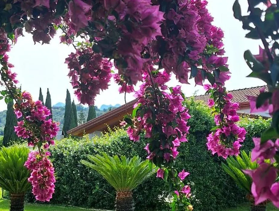 Villa Lucilla-1