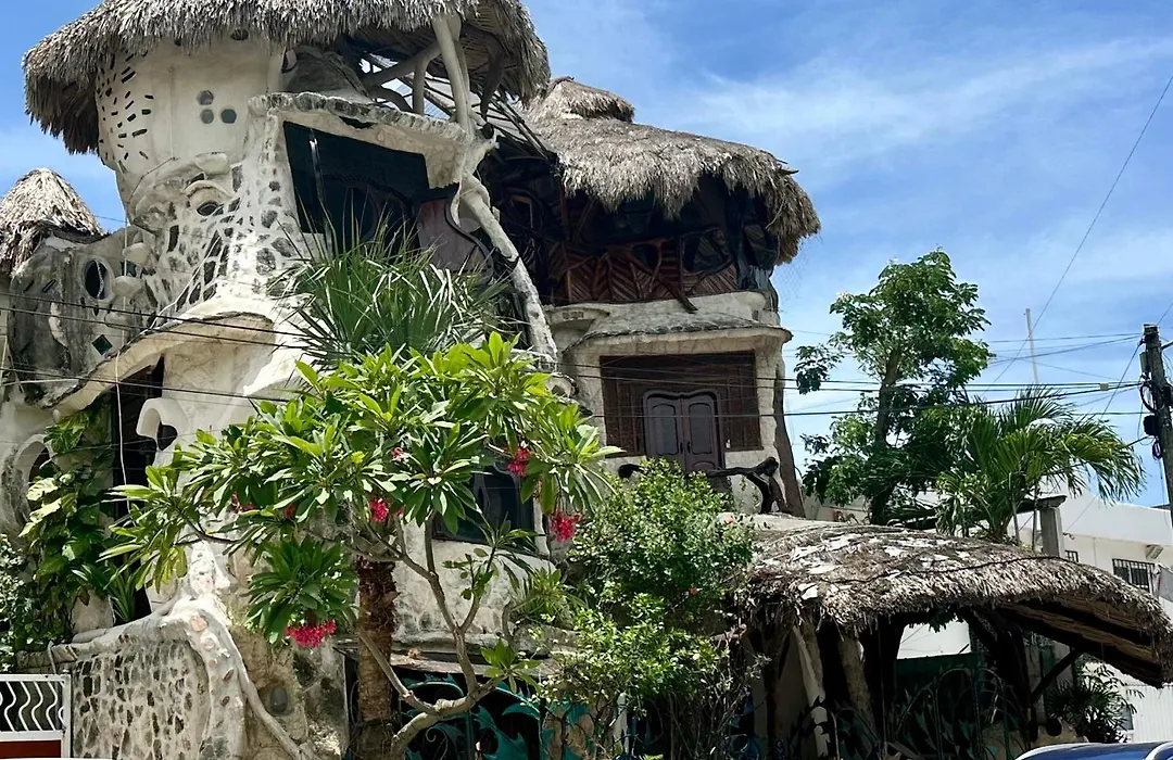 La Quinta Orquidea-1