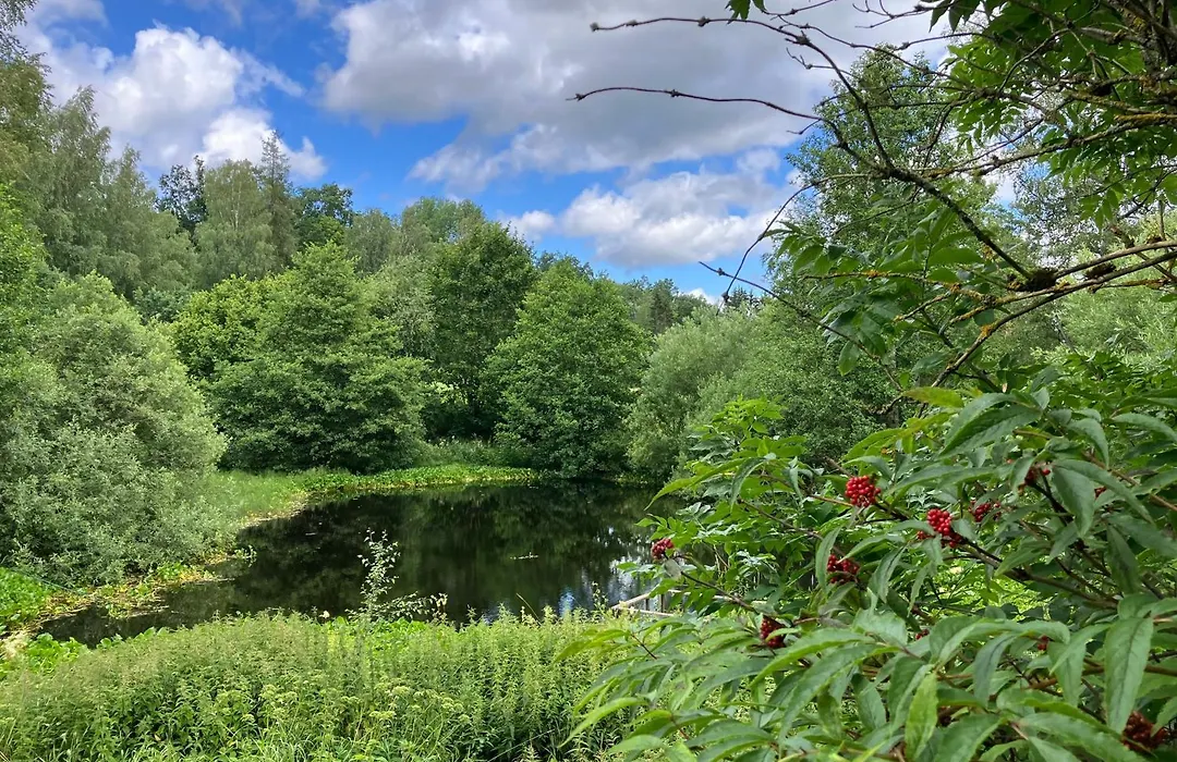 Lidhem Herrgard. Bed & Breakfast Och Mindre Laegenheter-1