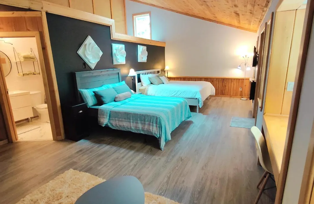 Hummingbird B&B-1