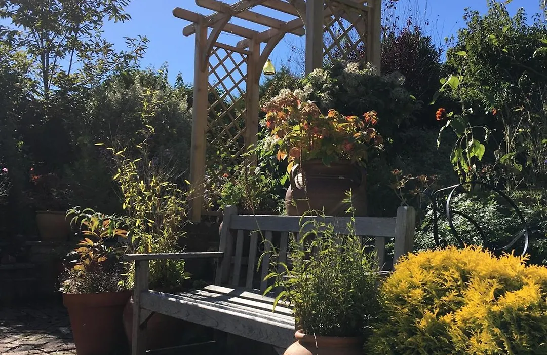 Anne'S House-1