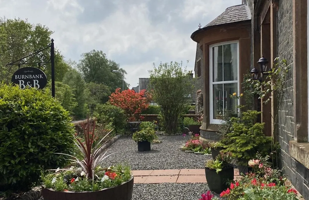 Burnbank Bed And Breakfast-1