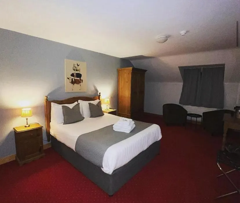 Dingle Marina Lodge-1
