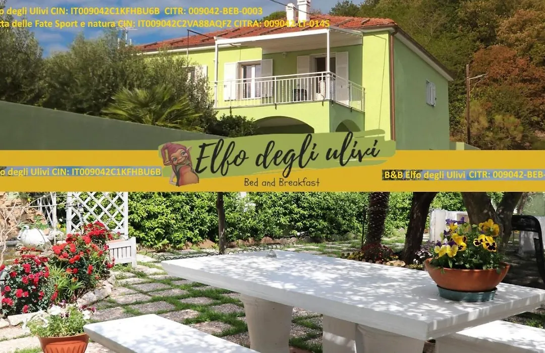 B&B Elfo degli Ulivi-1
