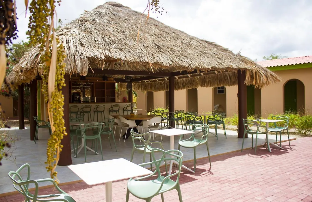 The Lizard Boutique Hotel-1