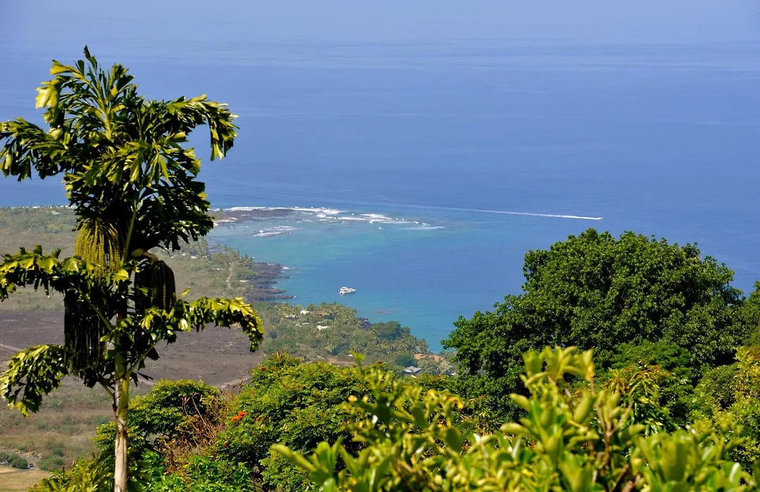 Ka'Awa Loa Plantation-1