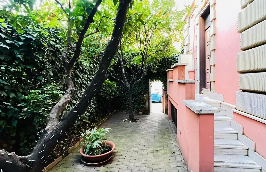Orange Garden Guest House-1