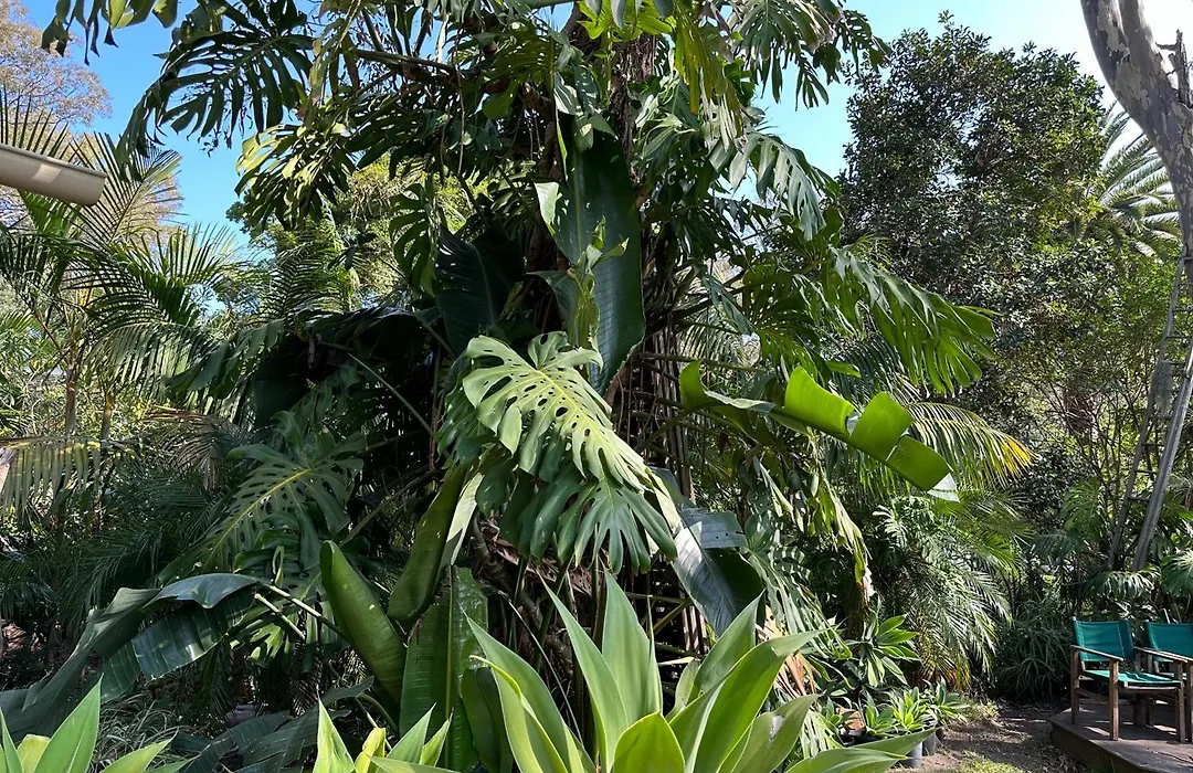 Palm Beach Bed & Breakfast-1