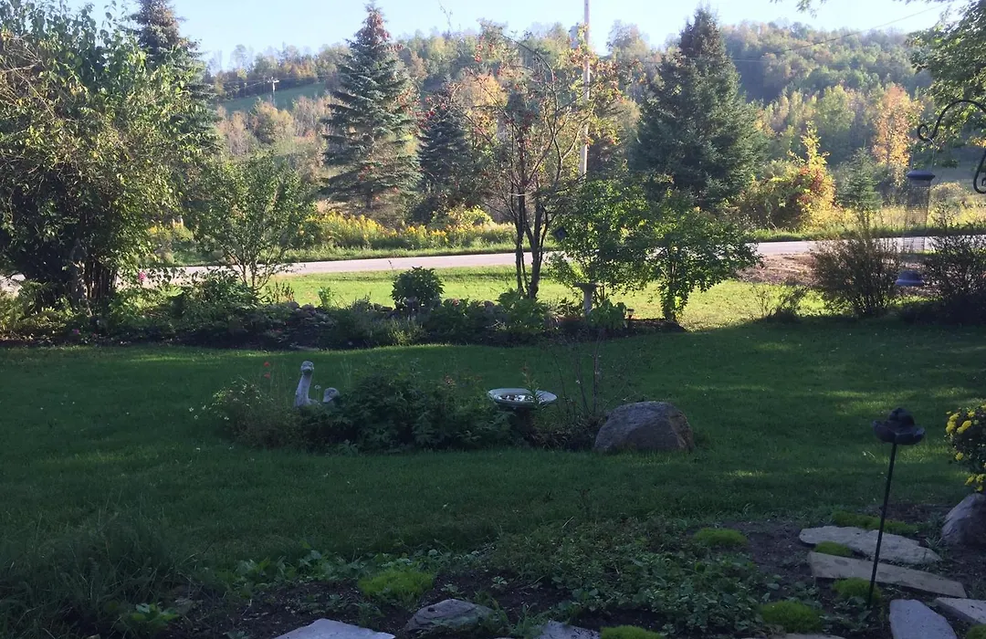 Foxingham Farm Bed & Breakfast-1