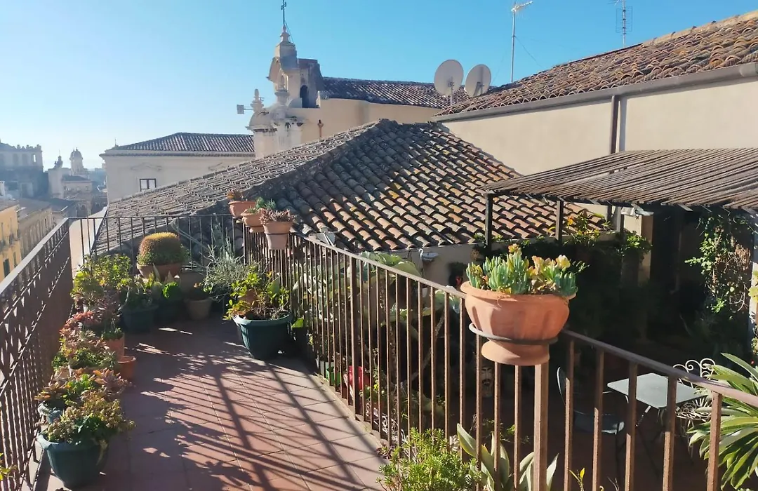 Crociferi B&B-1