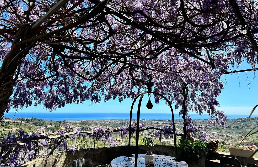il noceto dell'etna-1