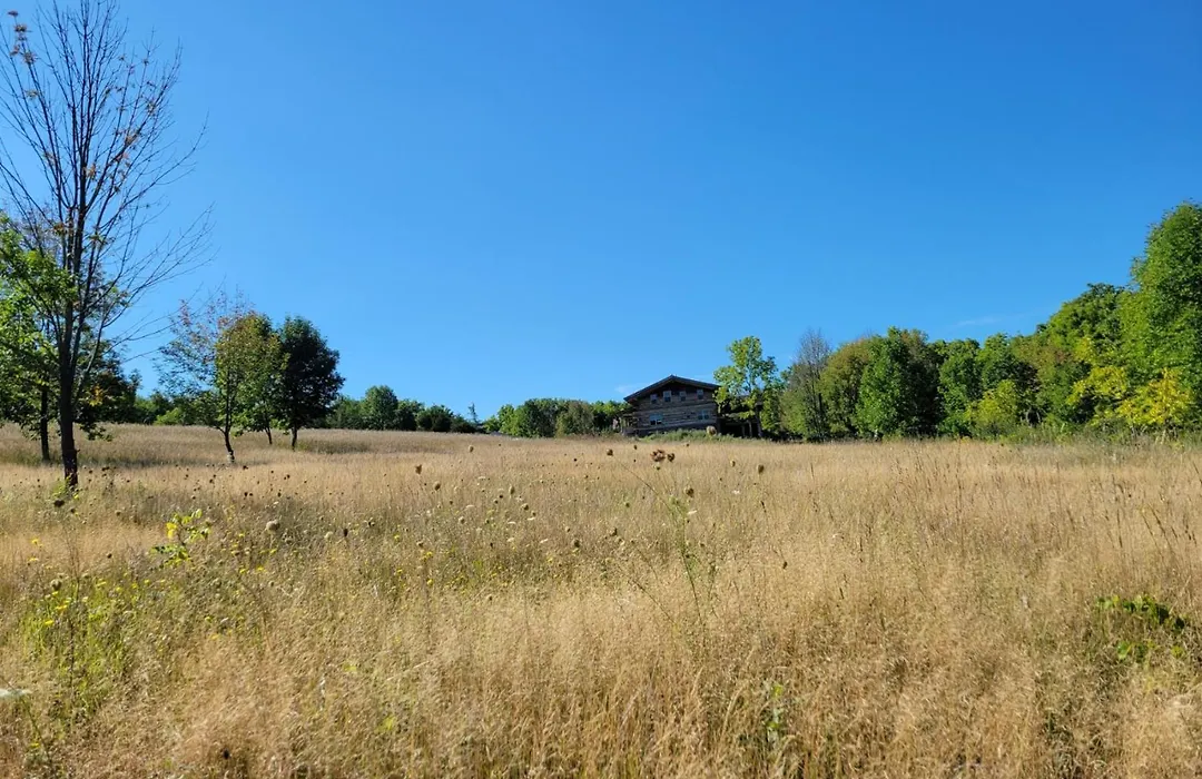 Firefly Creek Lodge-1