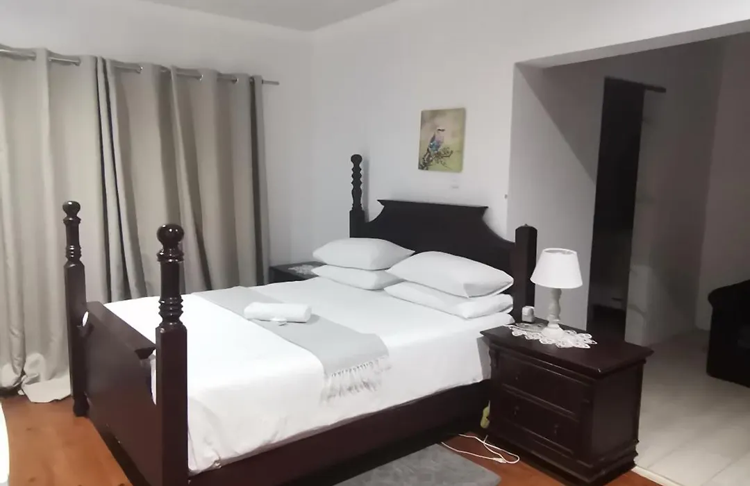 Palm Tree Bnb-1