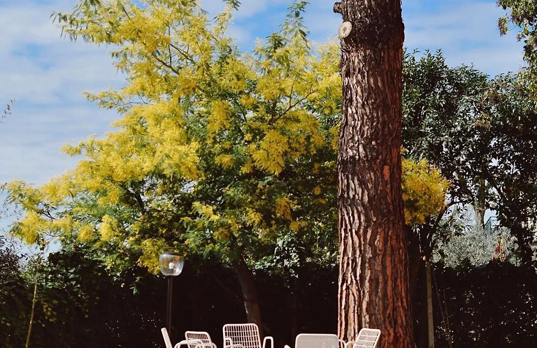 Bed & Breakfast Al 171-1