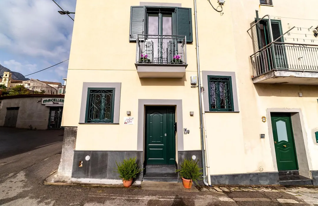 L'Angolo in Fiore-1
