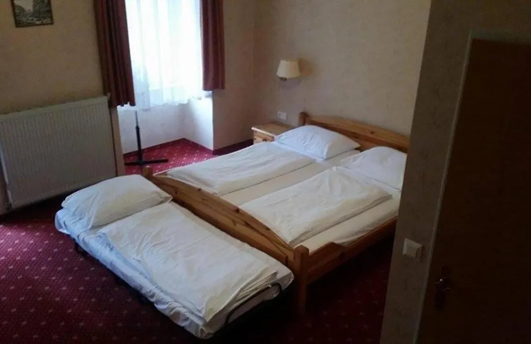 Hotel Pension Walzerstadt-1