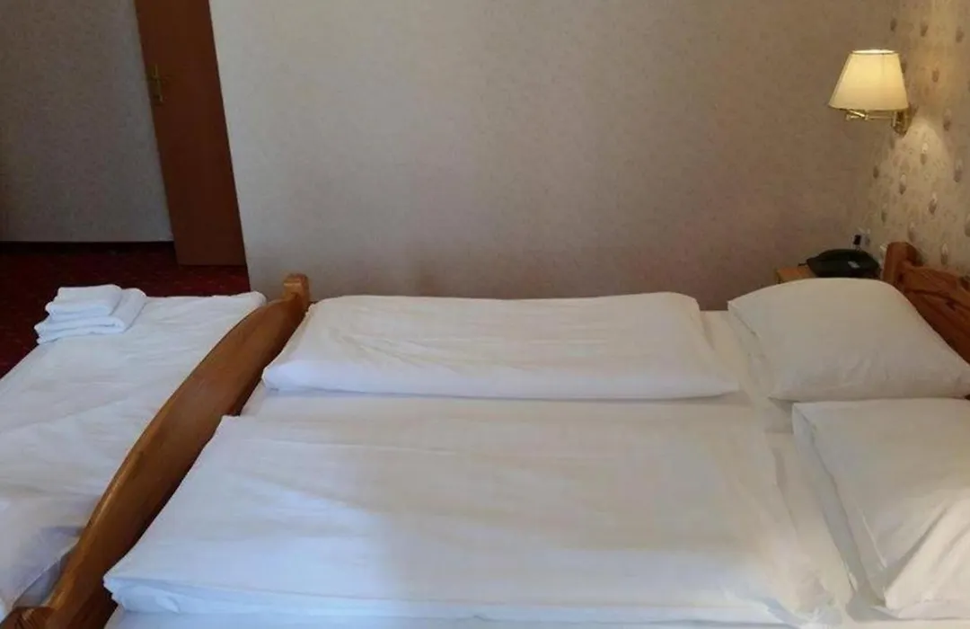 Hotel Pension Walzerstadt-1
