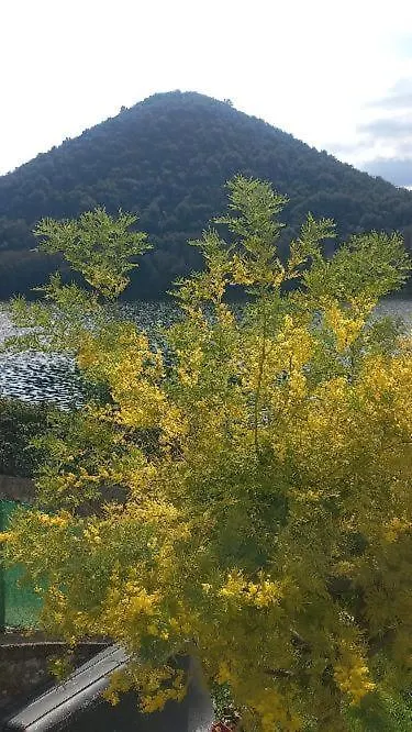 La Cannucciola-1