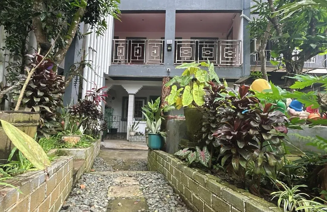 Purple Orchid Bed And Breakfast-1
