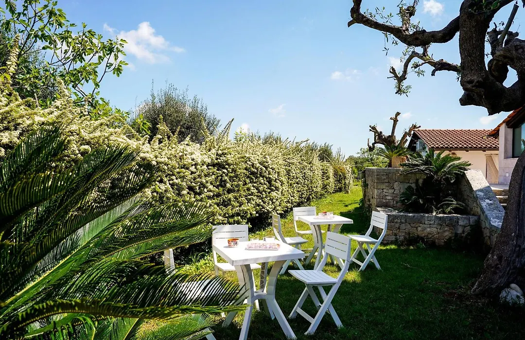 Villa Dragonfly By Barbarhouse-1