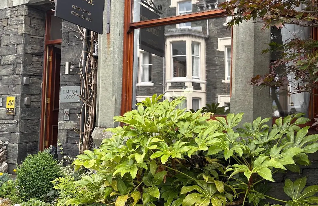 Elm Tree Lodge-1
