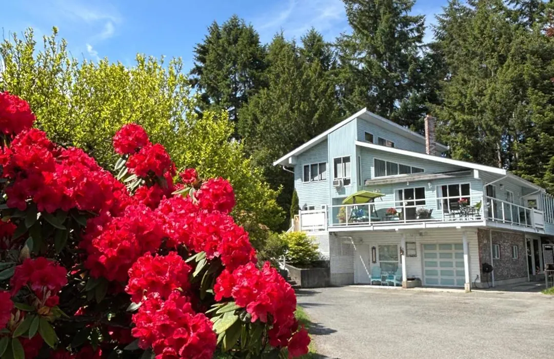 Bayview Bed And Breakfast-1