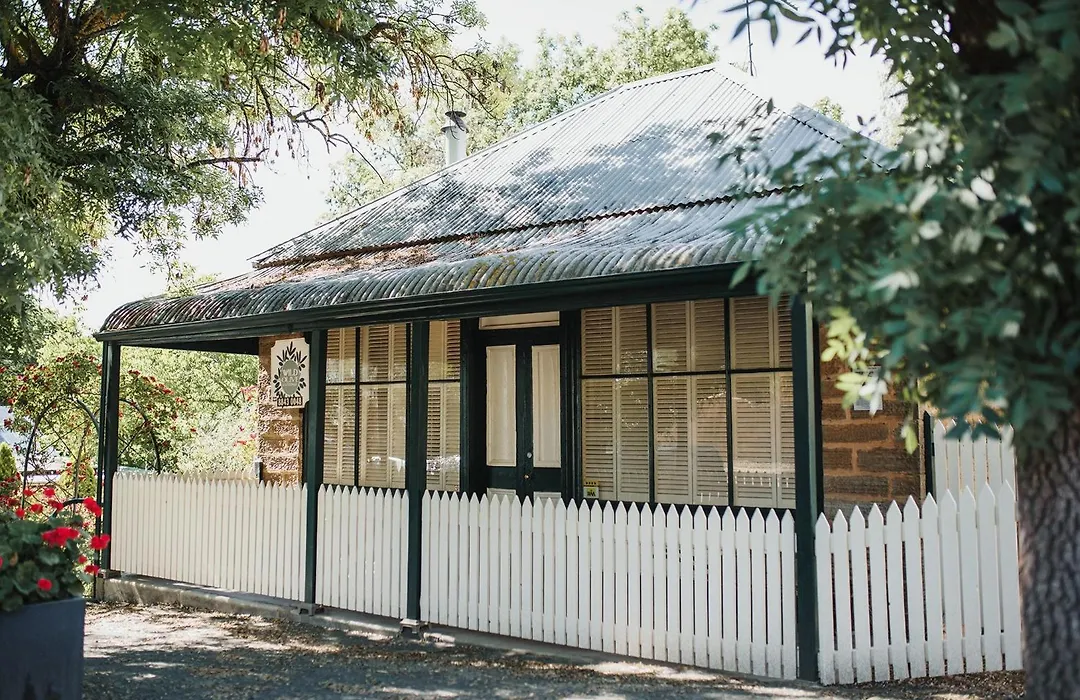 Wild Olive Cottage Clare Valley-1