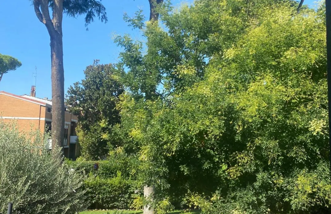 Villa Orsini-1
