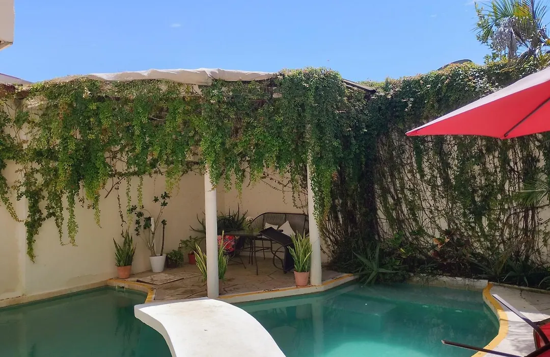 Bed And Breakfast Pecari-1