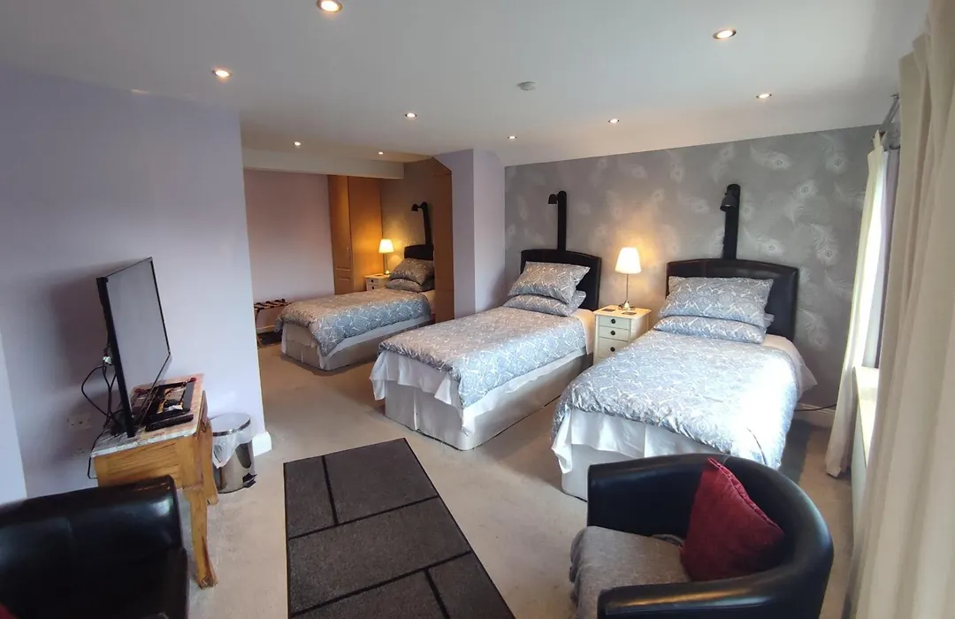 Dublin Airport Beaumont Hospital Marie'S Bed And Breakfast-1