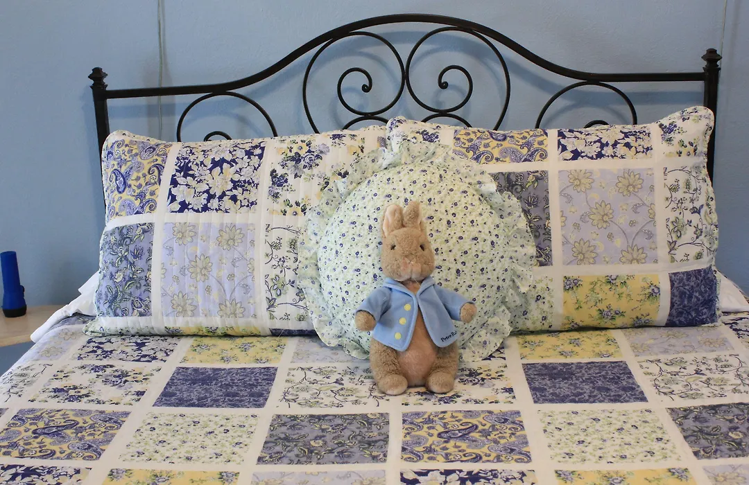 Mount Dora Historic Inn-1