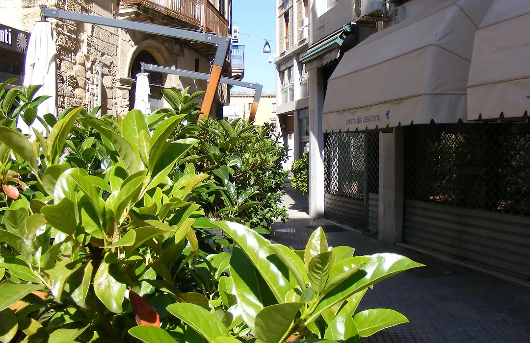 Leccesalento Bed And Breakfast-1