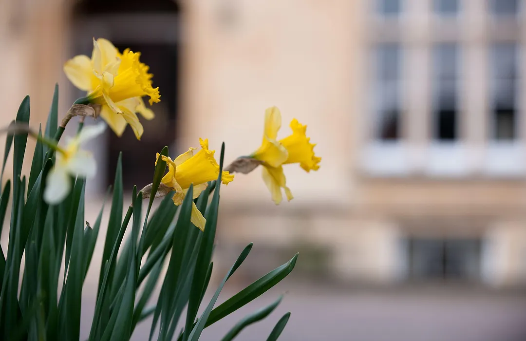 Cotswold Grange-1