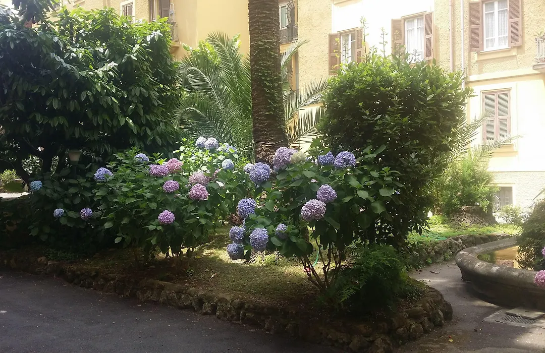 Fiocca B&B-1