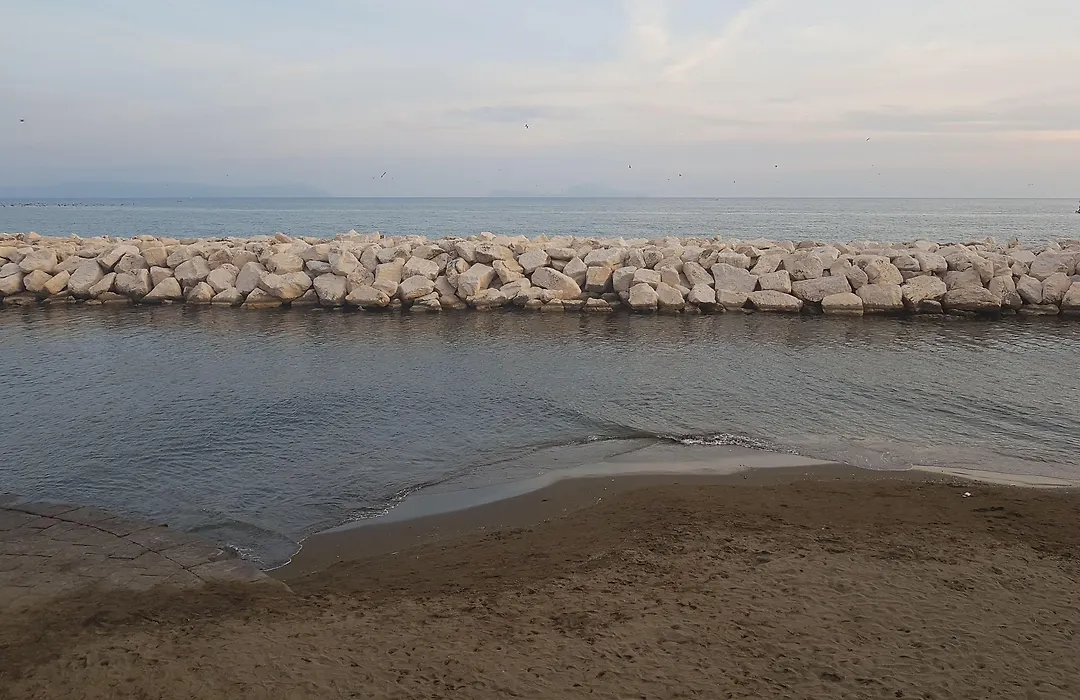 B&B Platamon-1